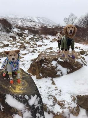 雪山初挑戦