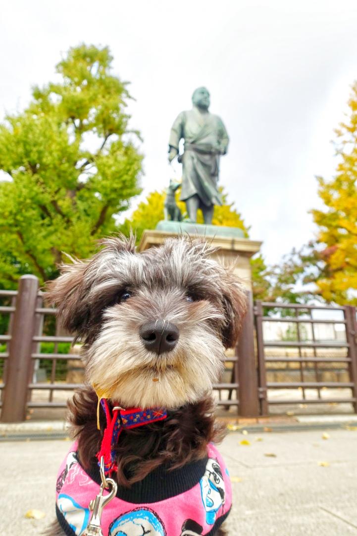 犬好き西郷さん