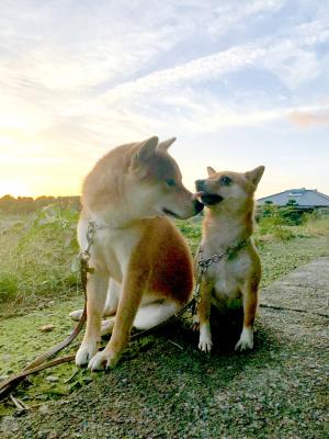 ちょっとだけペロっ