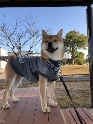 高台から決めポーズ