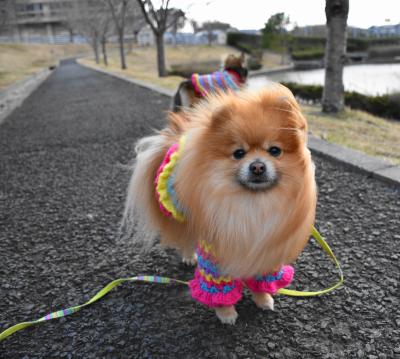 寒い冬にあったか～い瞳のプレゼント❤