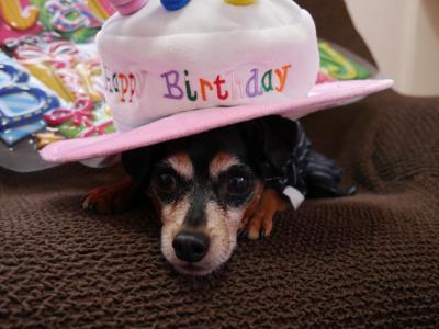 誕生日だけど、帽子のサイズ合ってる？