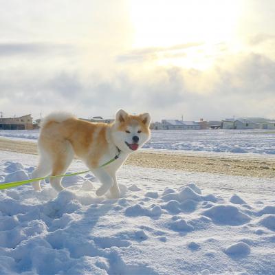 初雪っ！