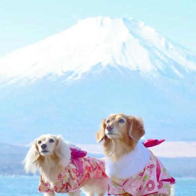 やっぱり富士山は日本一