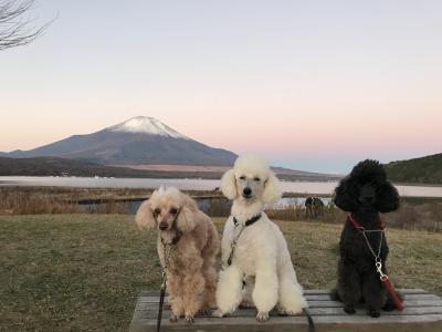 富士山がきれいです