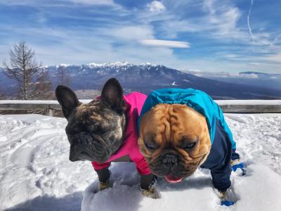 雪山ヤバくない…。