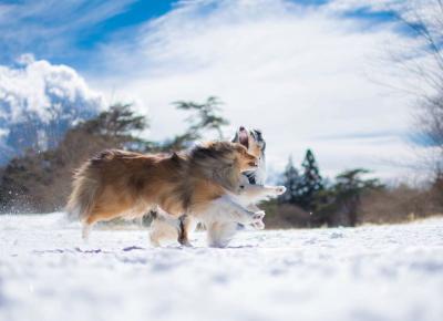 大好きな雪遊び！