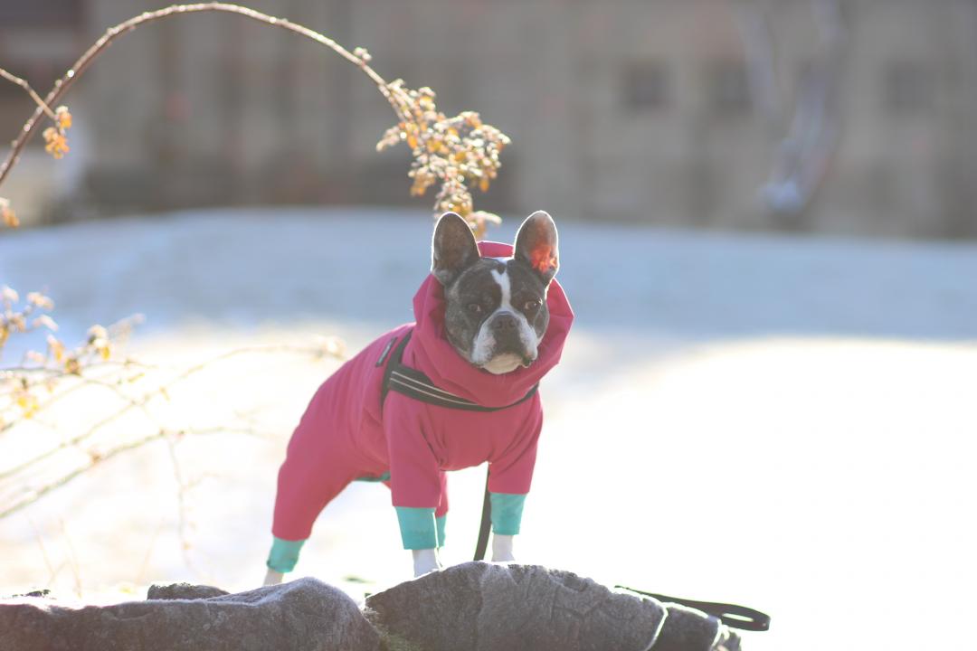 晴れた日のあさ