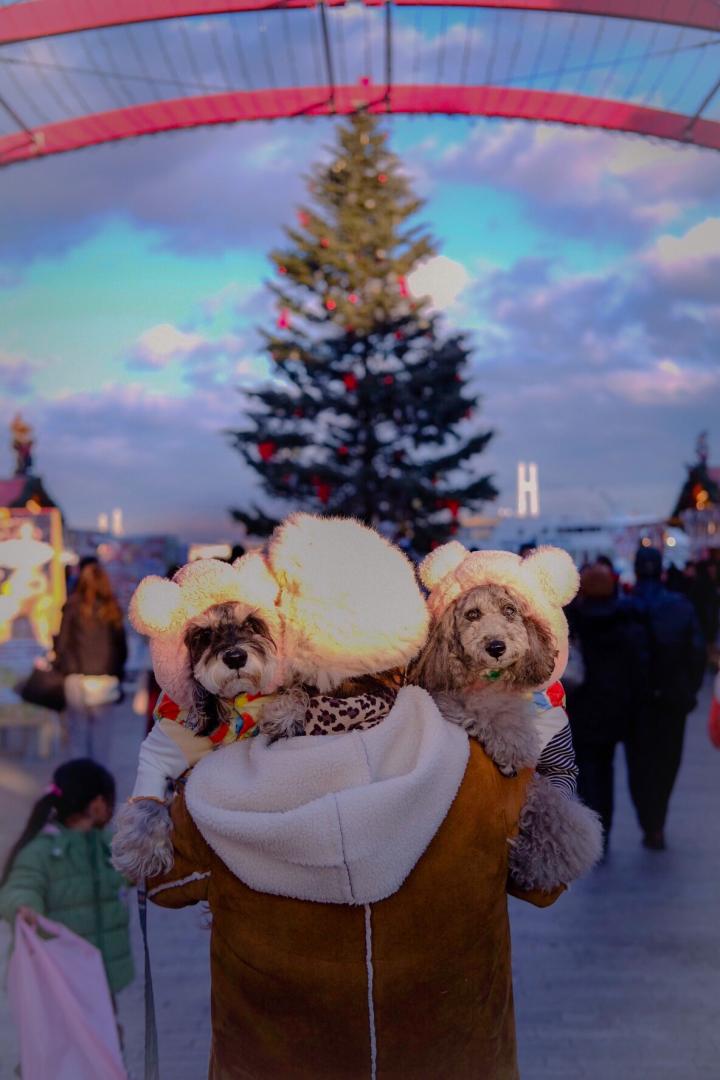 甘えん坊のクマちゃん達