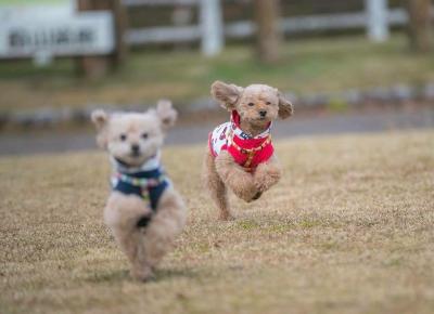 おかーちゃーん！！！