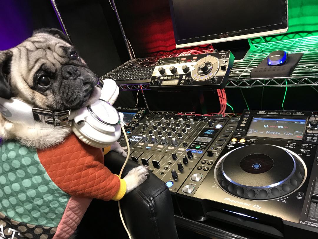 DJ 小虎