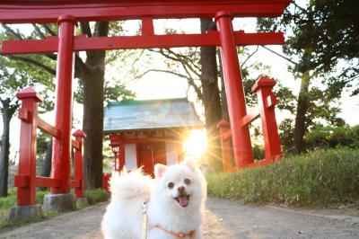 夕日のなかで