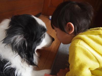 KISS