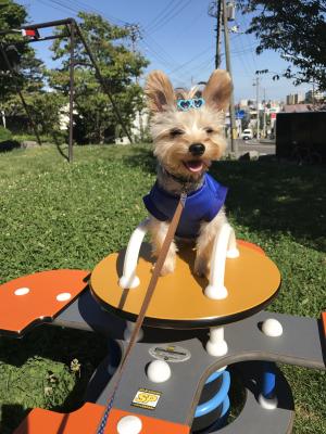 公園楽しいな