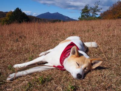 今年もよく寝ました~♪