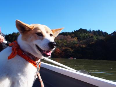 今年一番の笑顔~♪