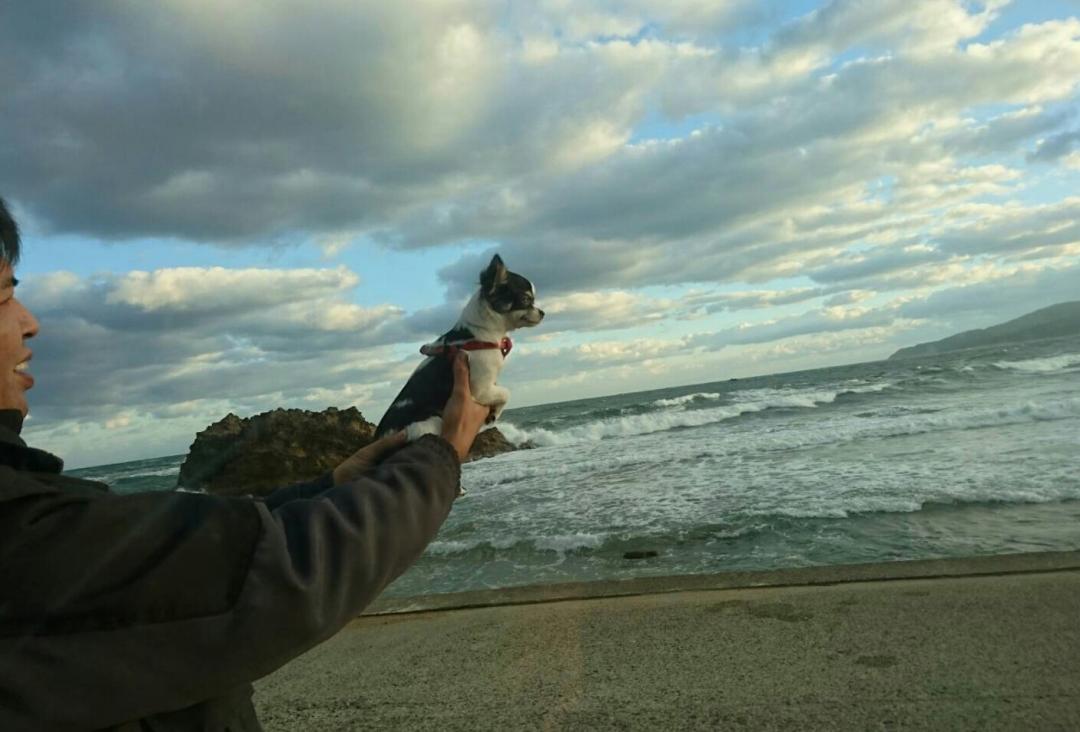 海風が大好きなルカちゃん