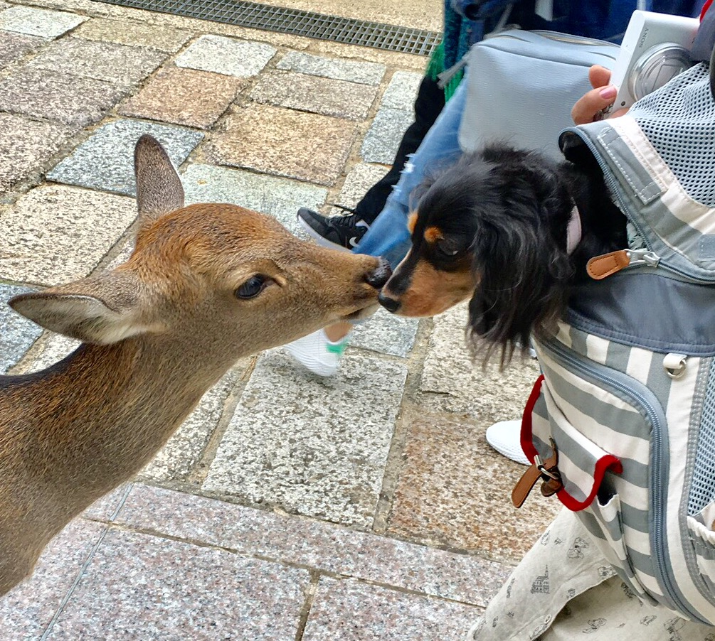 はじめまして