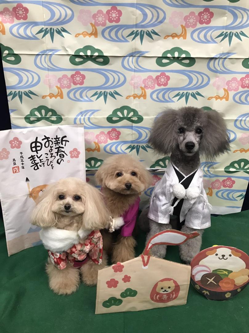 年賀状の撮影会