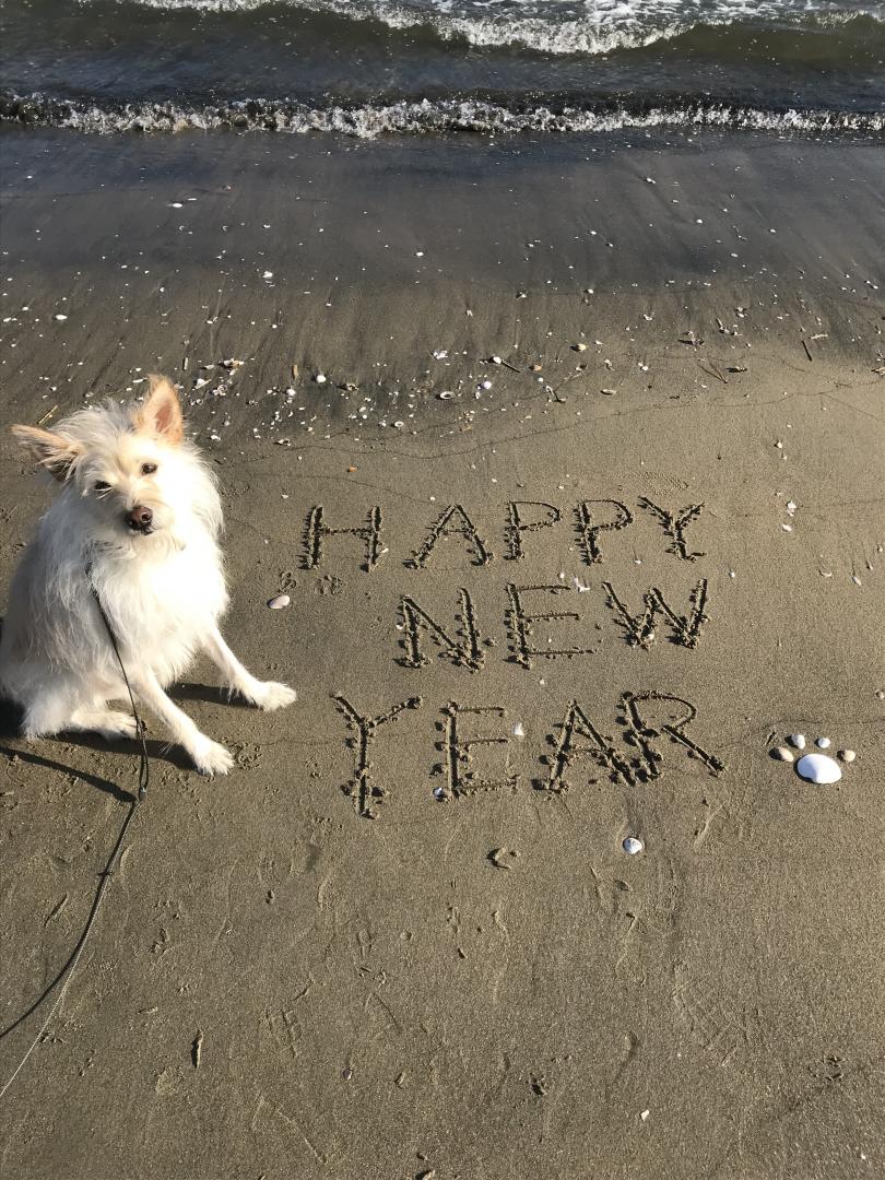 今年は僕の年だね