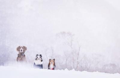 雪三昧！