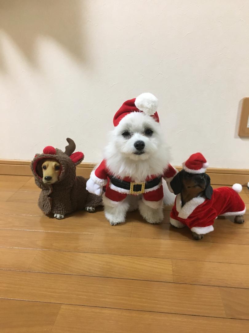 仲良し3姉妹⁉️のクリスマス❣️