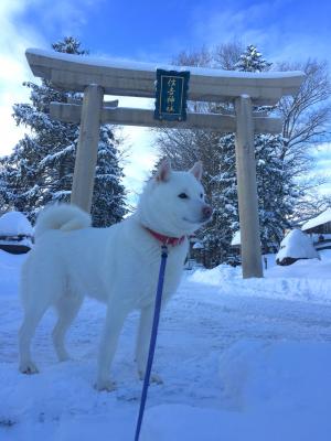 神社の前で