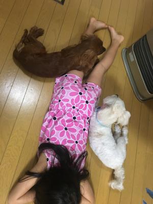 犬はストーブの前で丸くなる