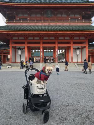 今年の抱負