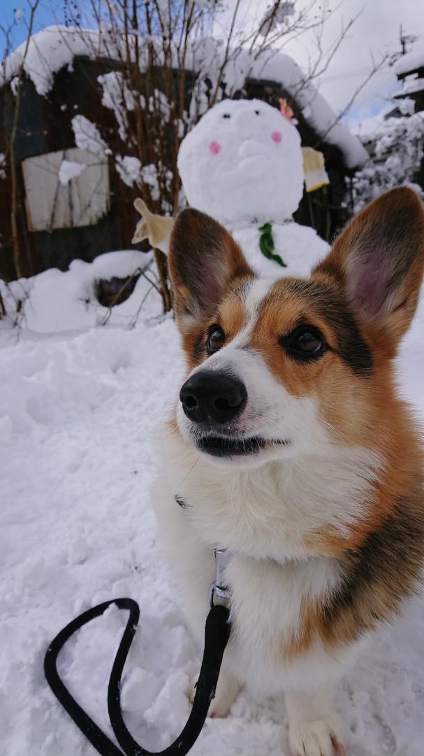 やっぱ雪でしょ♪