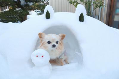 かまくら