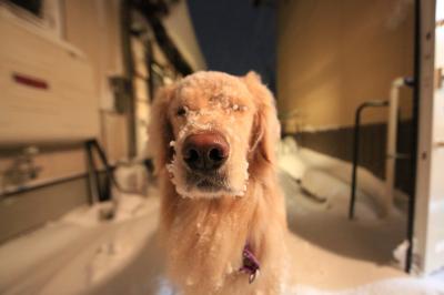 雪だるま目指してます