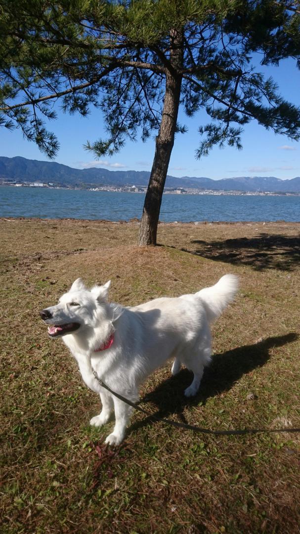 天気も良いし気持ちえーなぁ～