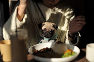 わたしのお洒落ランチ♪