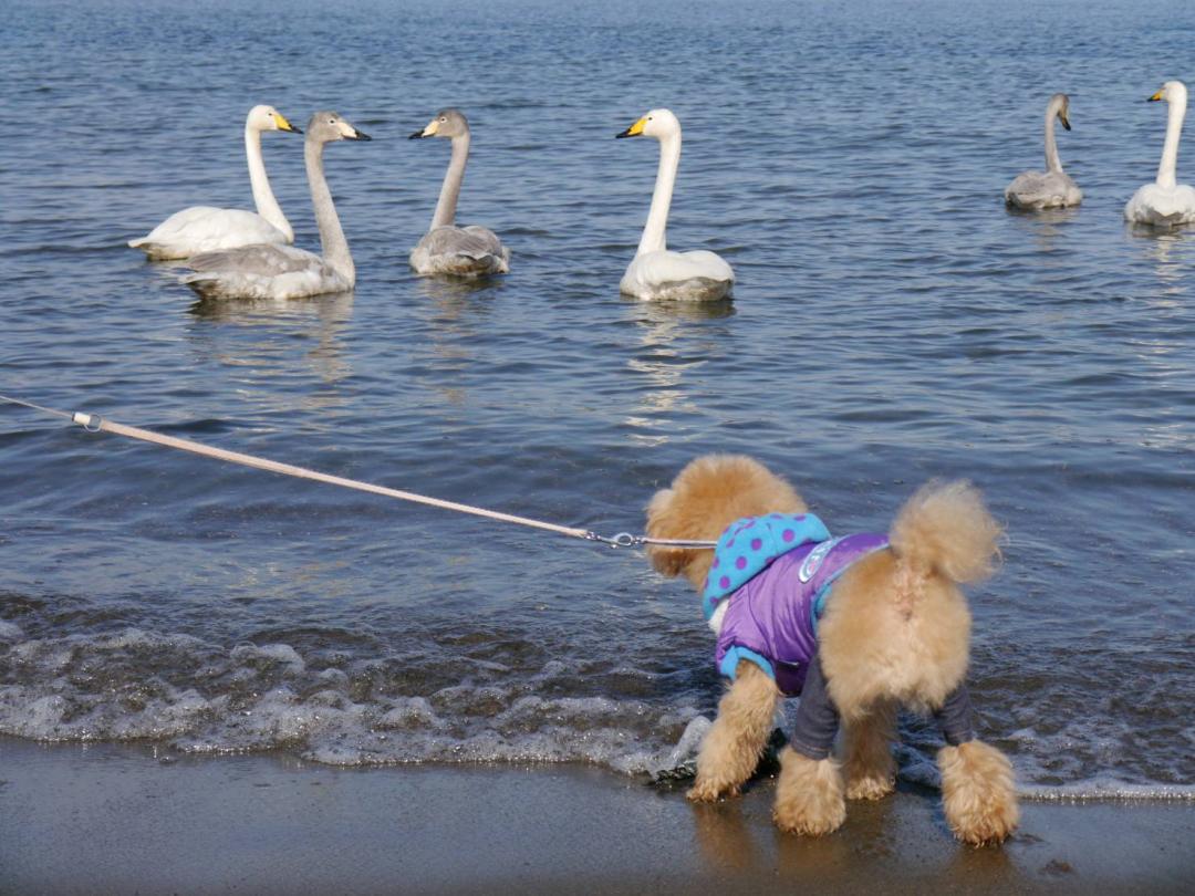 友達になろうよ♪