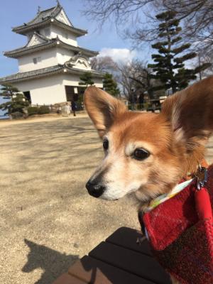 気分はお殿さま！