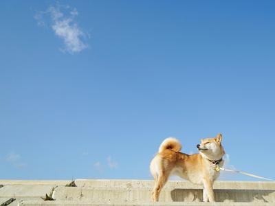 気持ちいい空