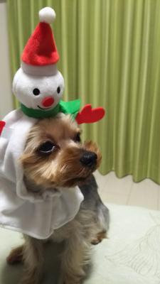 嫌なんですけど・・・