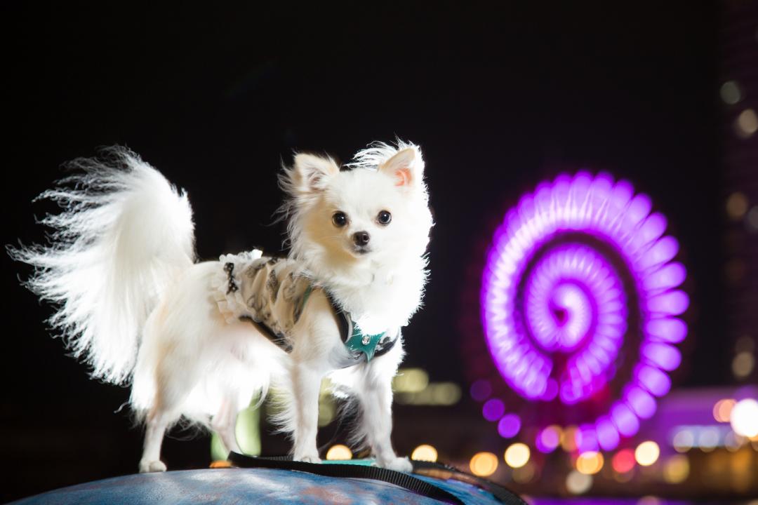 夜景でフォトジェニック☆