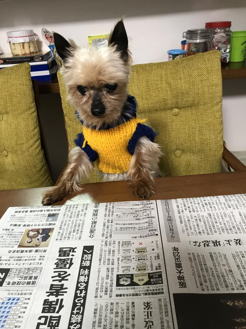 毎日新聞読んでます！