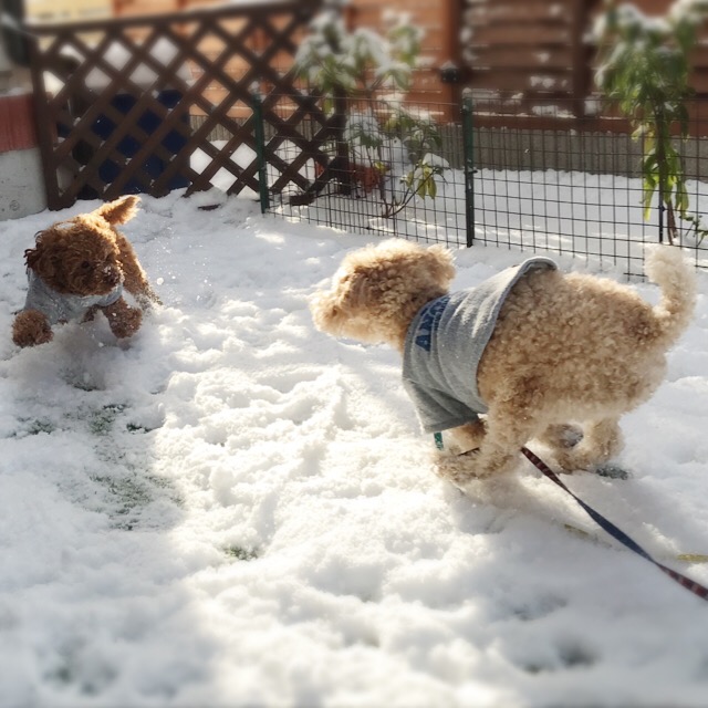 ☆雪遊び☆