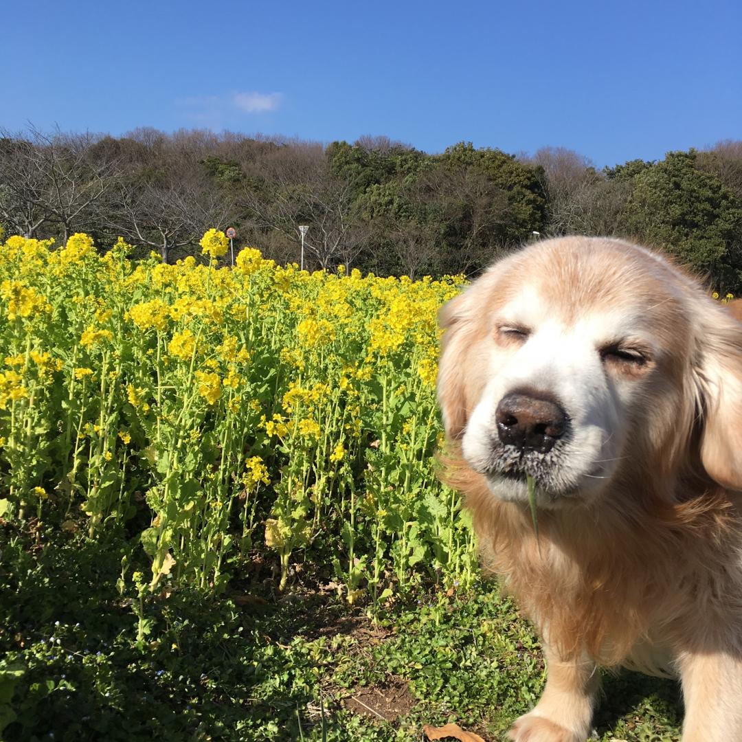 まちがいなし！