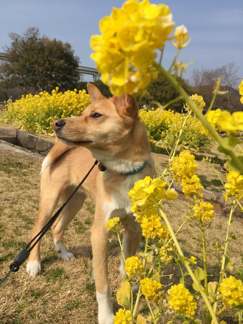 あ、春のにおいだ！