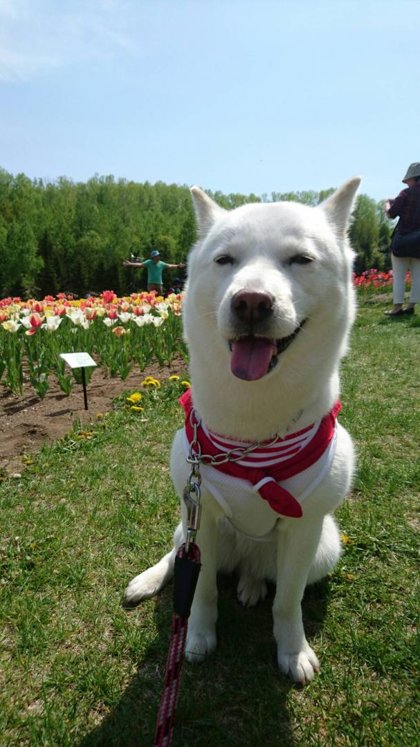 お花大好き～