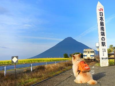 お気に入りのリュック背負って