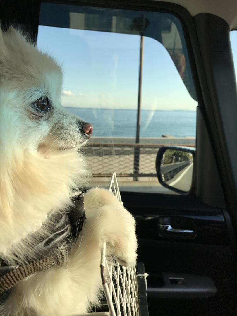 初めての海までドライブ♪♪