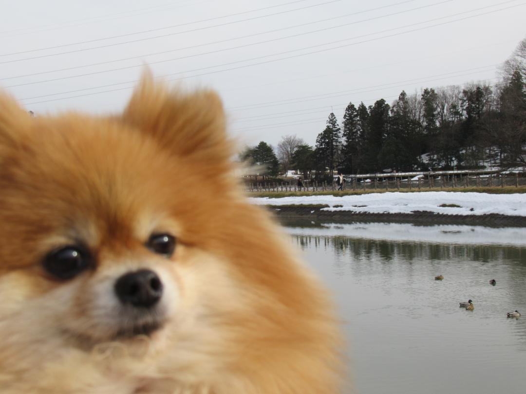 雪解け