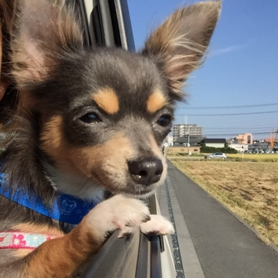 大きい公園へ行くよ！