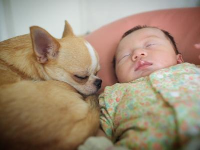 子守しながら うとうと