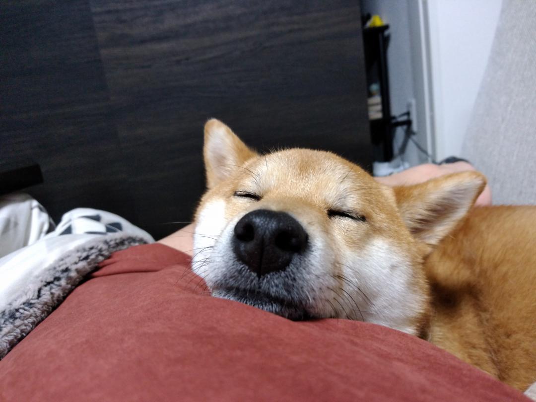 眠い